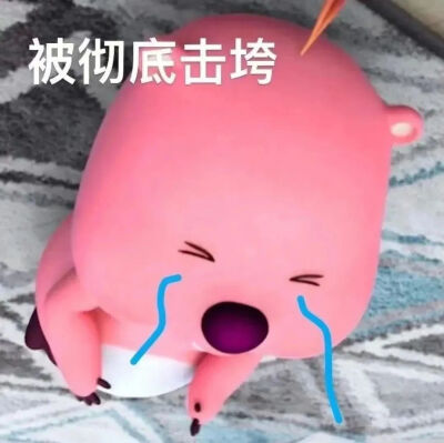 表情包