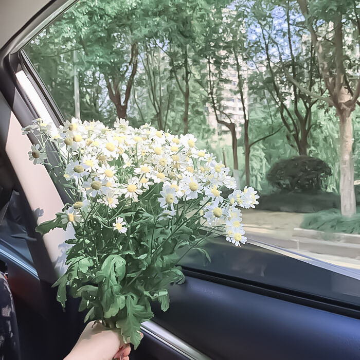 ♡⁺ 花會沿路盛開的⁺♡
cr.槐花源_