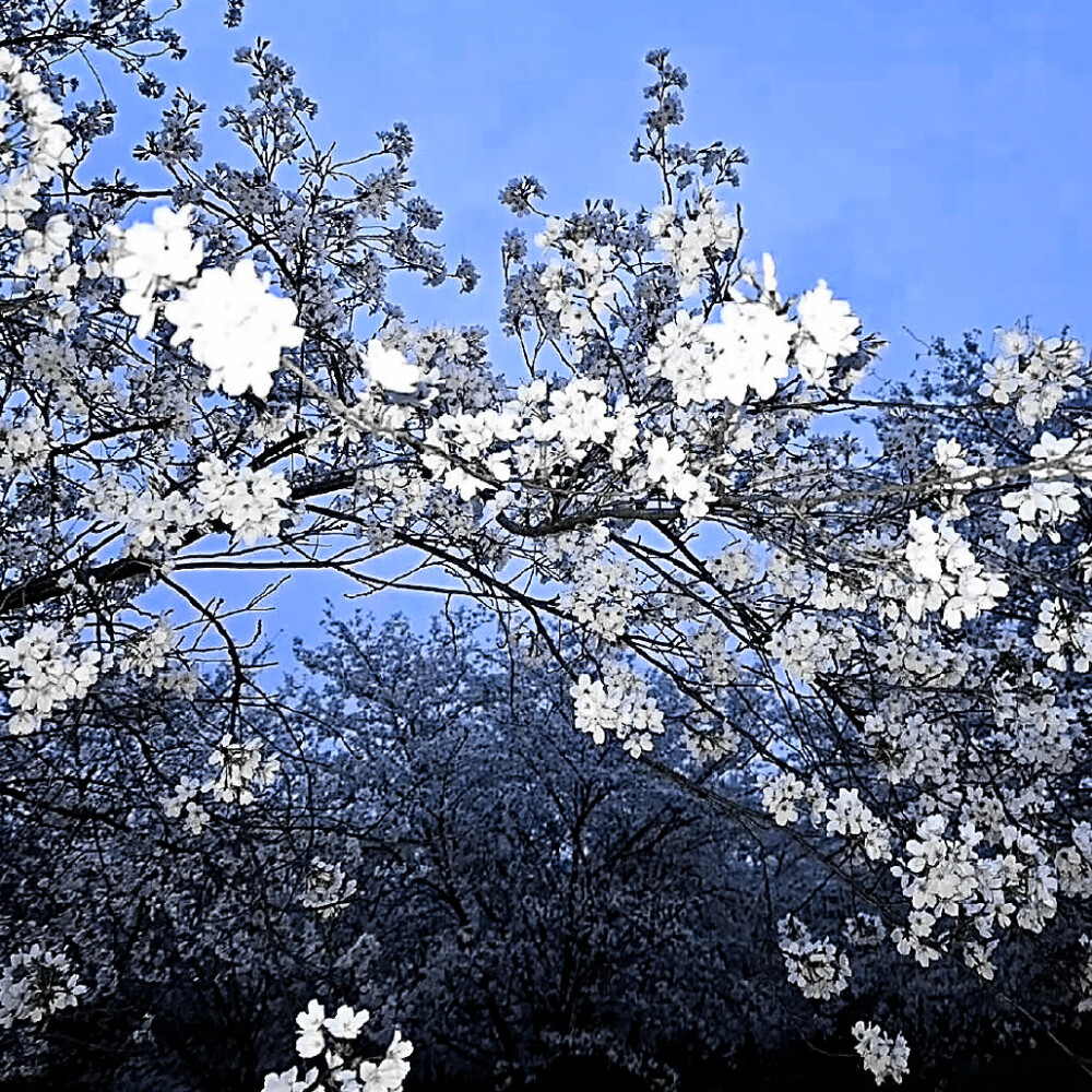 萌物来袭 看谁能被萌到