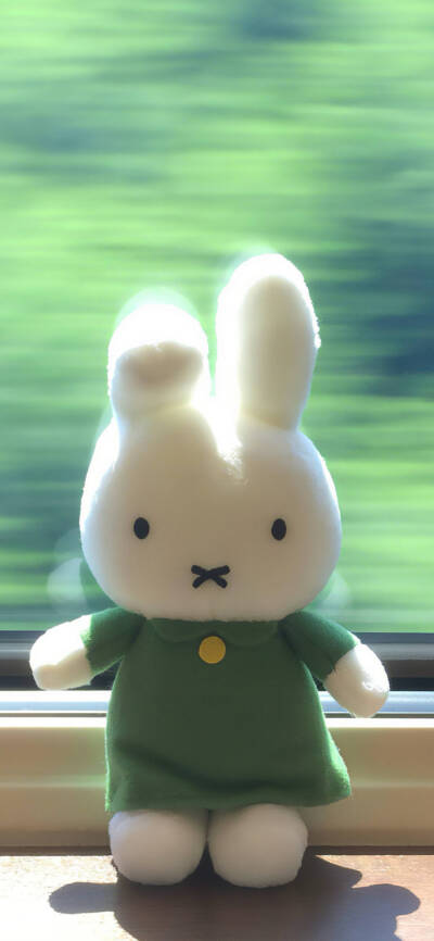 /