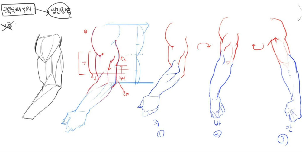 人体
