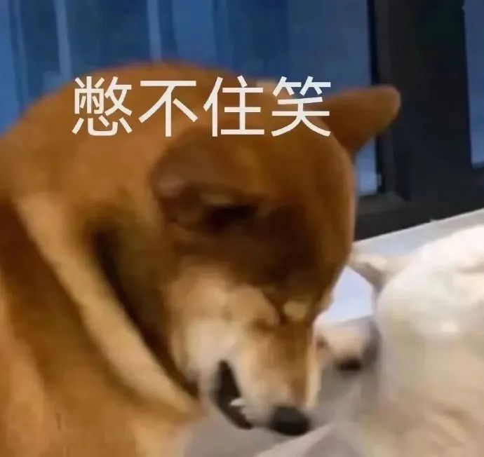 表情包