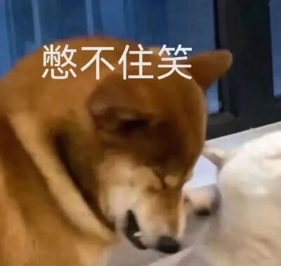 表情包