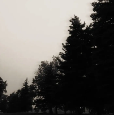 我该如何擦拭你的伤疤