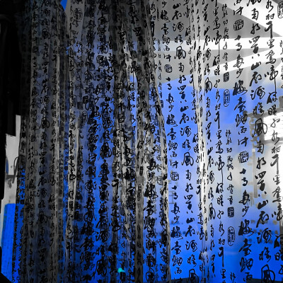 萌物来袭 看谁能被萌到