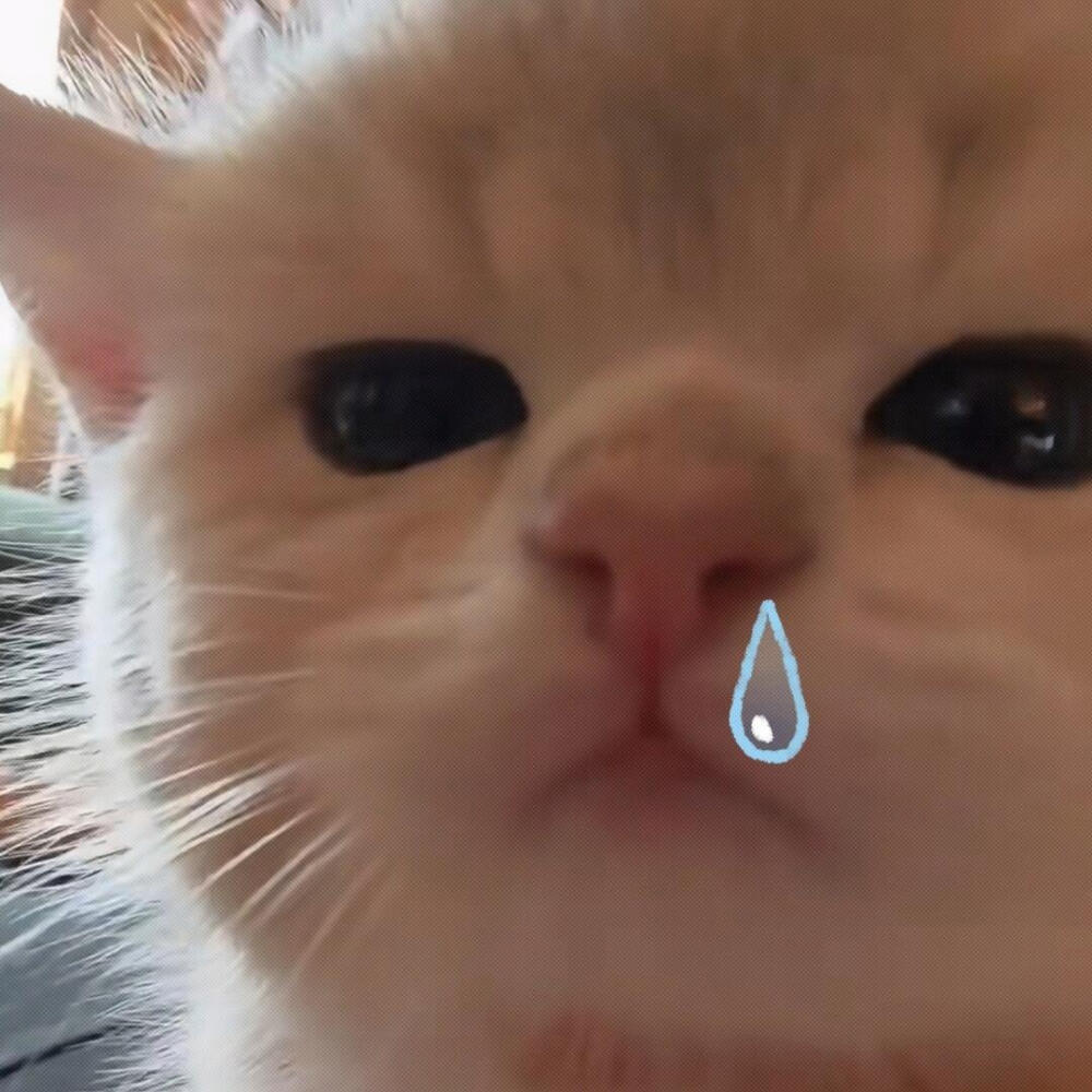 咪
