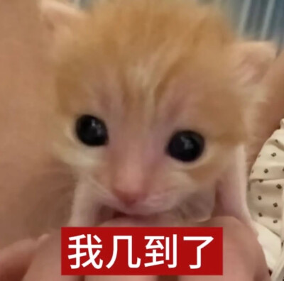 抽象表情包