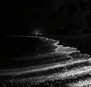 来来来羊肉串宝宝让我亲亲你