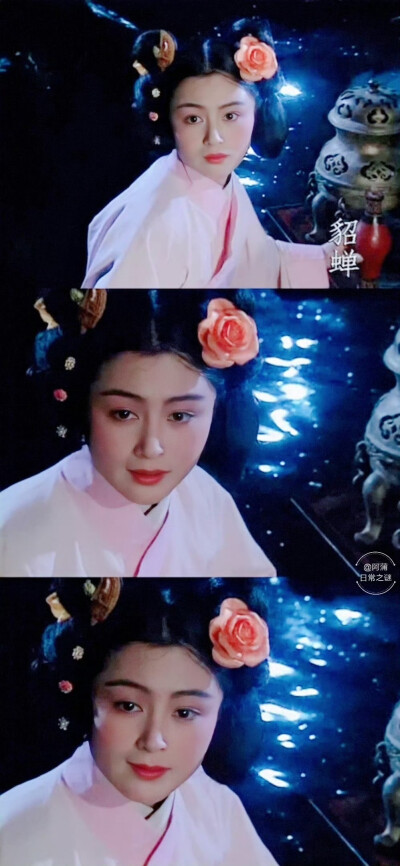 陈红cr阿蒲日常之谜