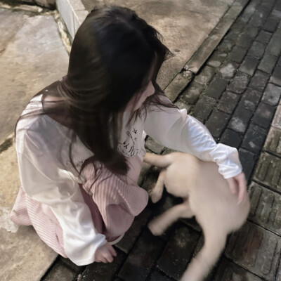 请再次震动我万念俱灰的心脏