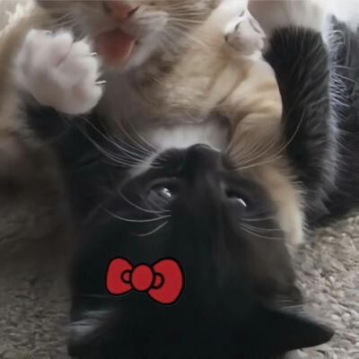 库存
