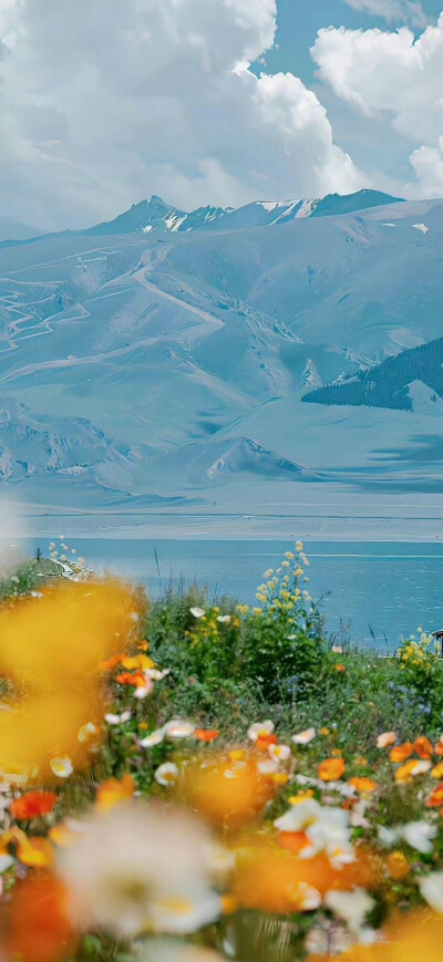 南笙北路，浪迹天涯。