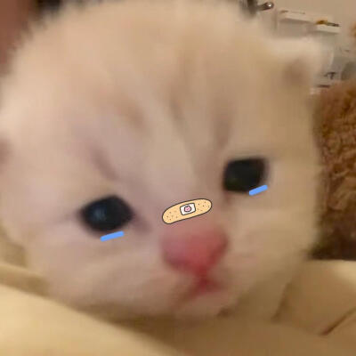 咪