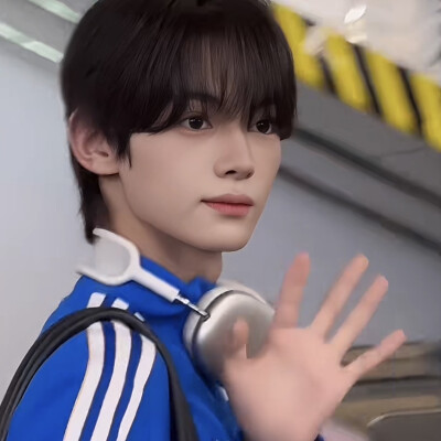 韩振