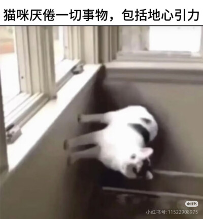 我是不会放弃收集这种图片的