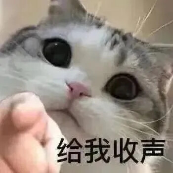 表情包