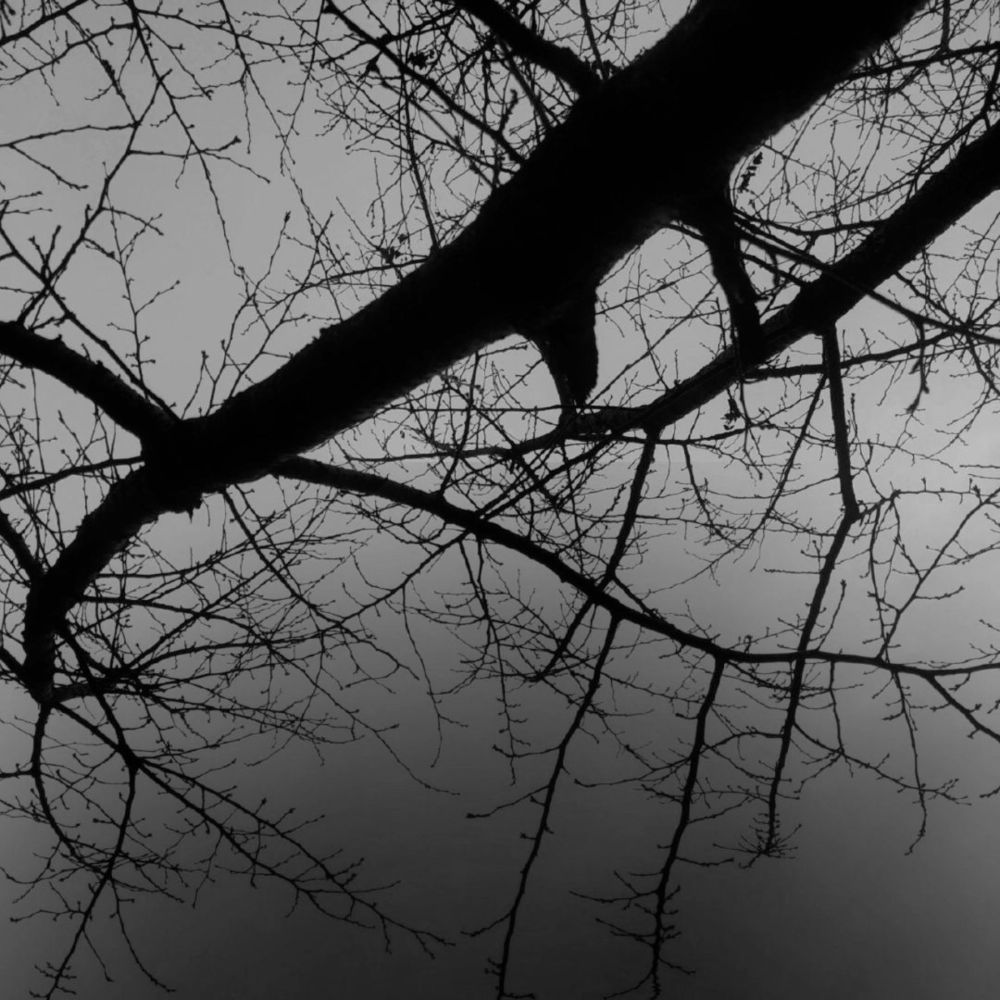 拆了一端盲盒没出隐藏 谢谢大家