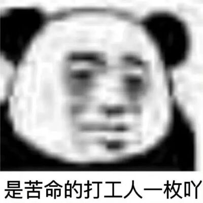 表情包