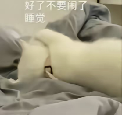 表情包