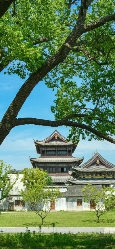 忆