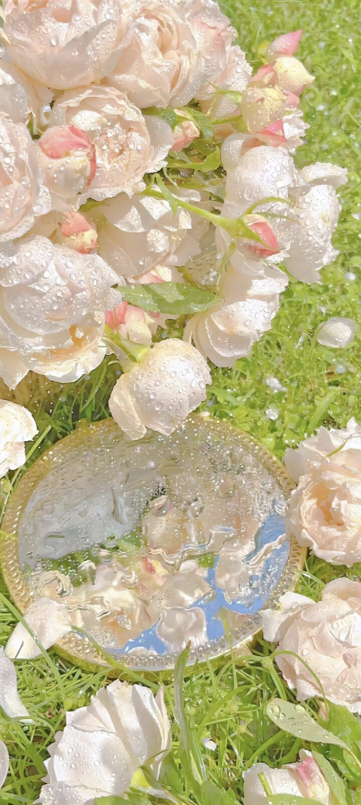 聊天背景 手机壁纸