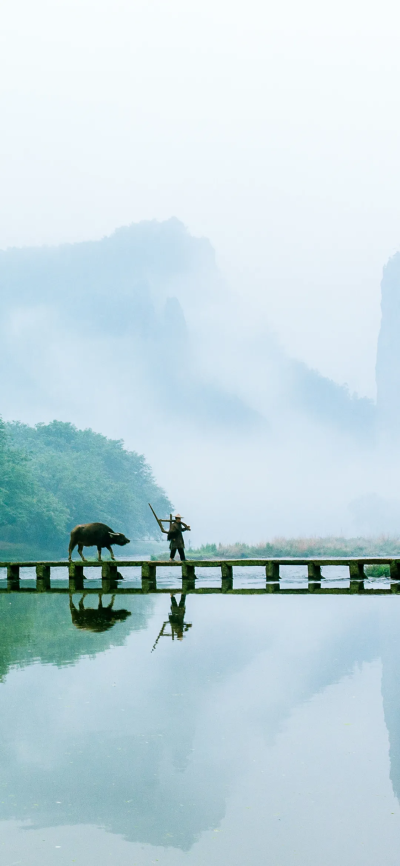 景
