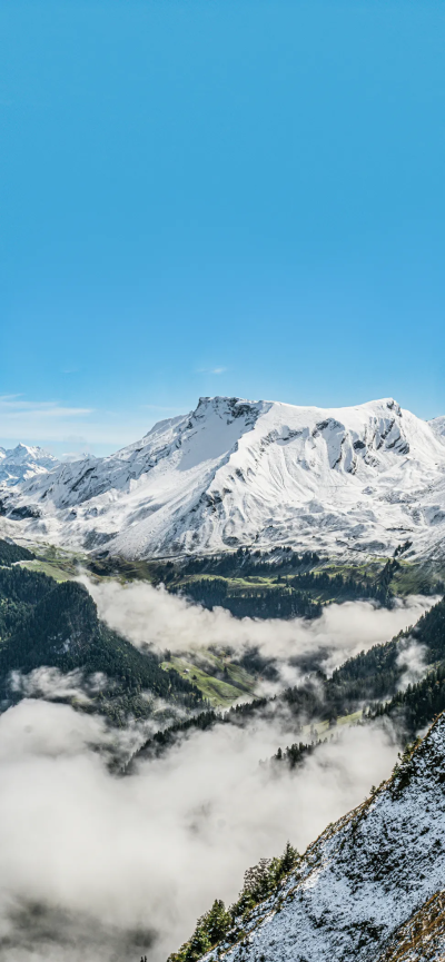 景