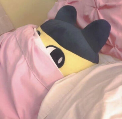 *･゜ﾟ･*:.｡..｡.:*･'(*ﾟ▽ﾟ*)'･*:.｡. .｡.:*･゜ﾟ･*