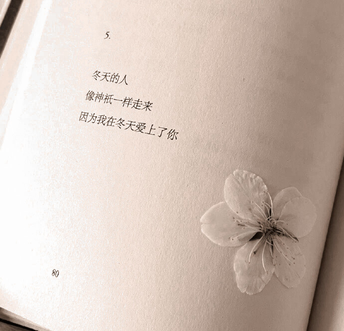  感谢北侓江ʕ·ᴥ·ʔ