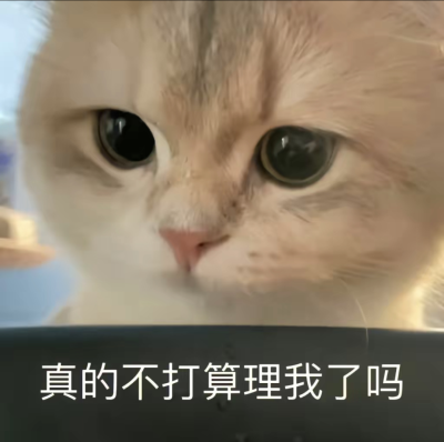 表情包
