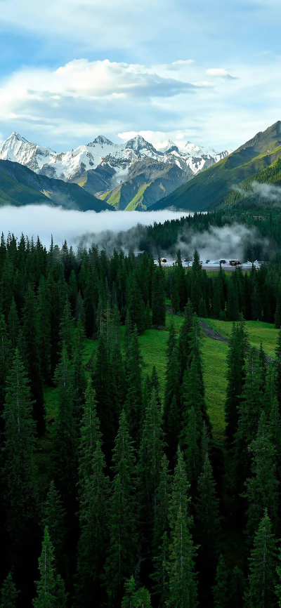 景