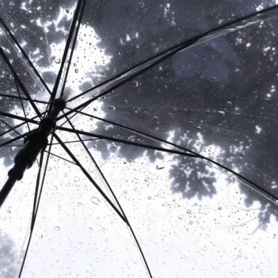 风虽大 都绕过我灵魂