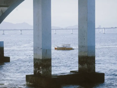 眼看八月将尽
独自越过分界线向海水步步走去
回望杂乱无章的村舍，沙丘
欢乐和忧愁，时光流逝