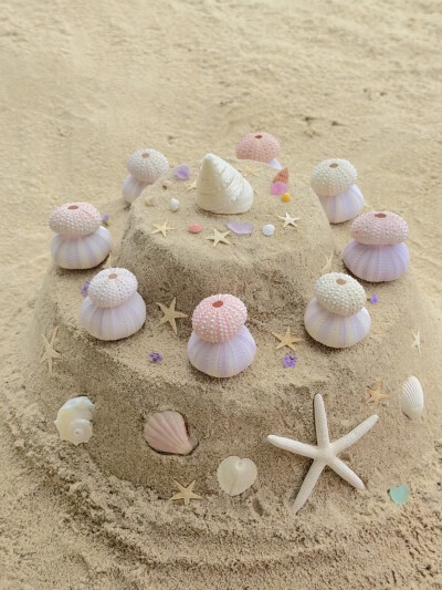 沙砾蛋糕