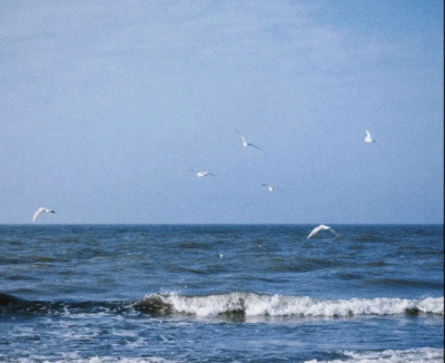 眼看八月将尽
独自越过分界线向海水步步走去
回望杂乱无章的村舍，沙丘
欢乐和忧愁，时光流逝