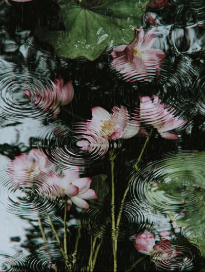。