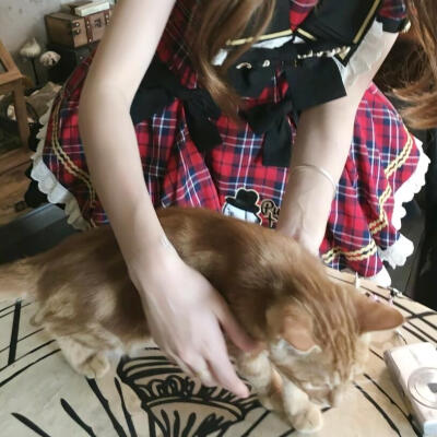 对象不是人情头