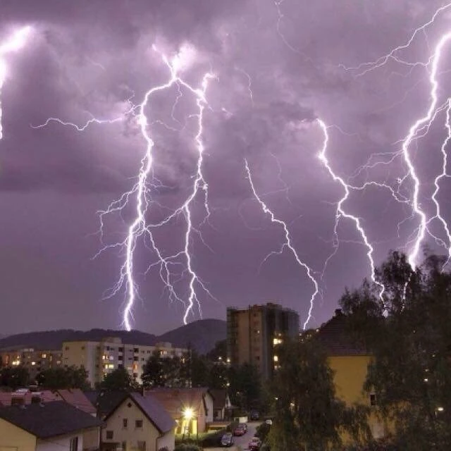 海底长枝玫瑰，埋葬着两个相爱的灵魂。