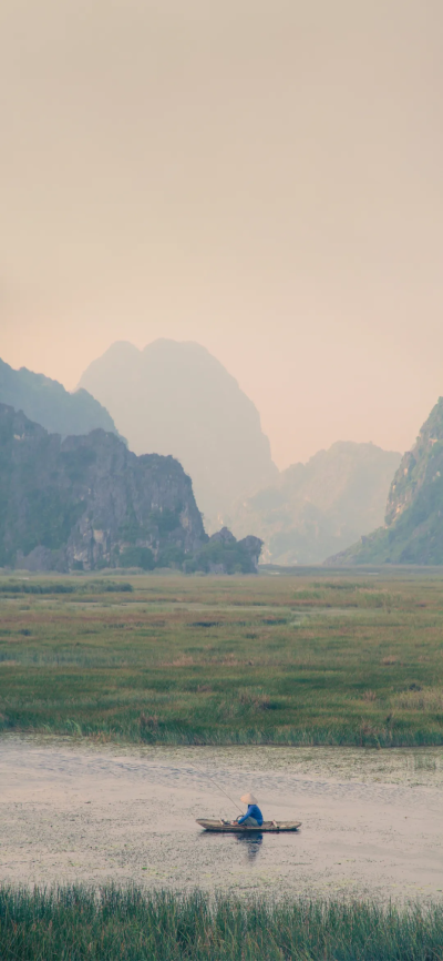景