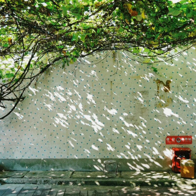 背景图