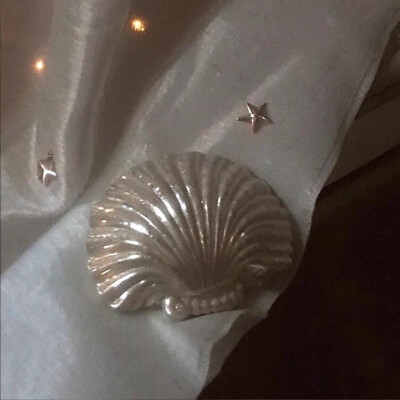 贝壳
