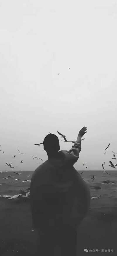 治愈系壁纸