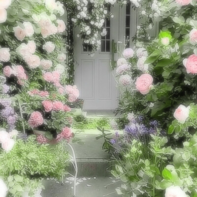 Moss-grown lanes—《青石巷》*伞下旧年雨