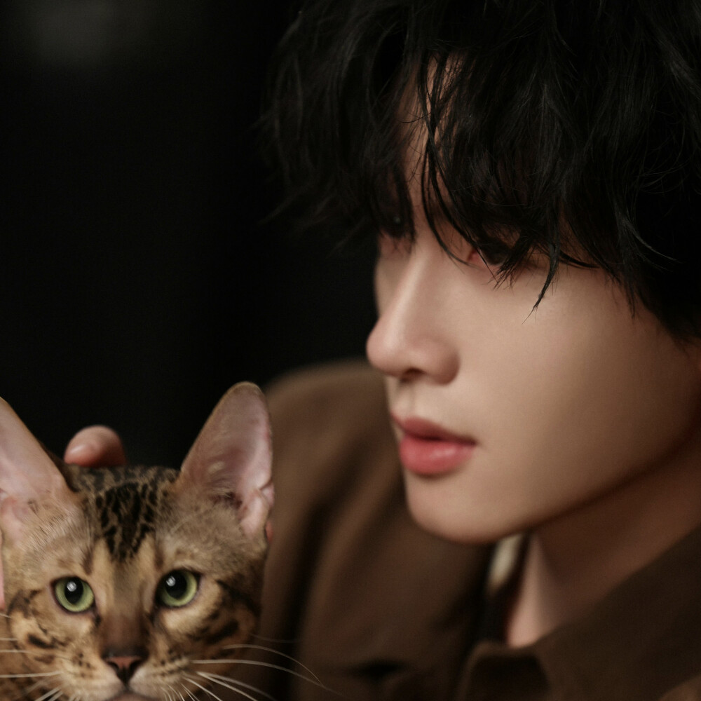 展轩套图可二改