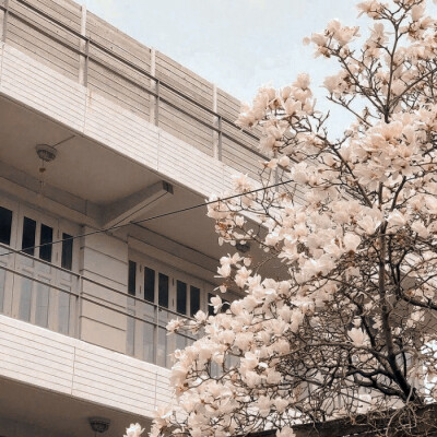  感谢北侓江ʕ·ᴥ·ʔ