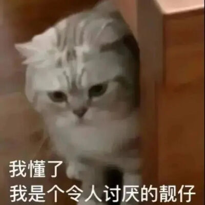 表情包
