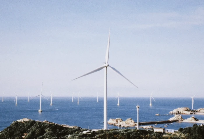 眼看八月将尽
独自越过分界线向海水步步走去
回望杂乱无章的村舍，沙丘
欢乐和忧愁，时光流逝