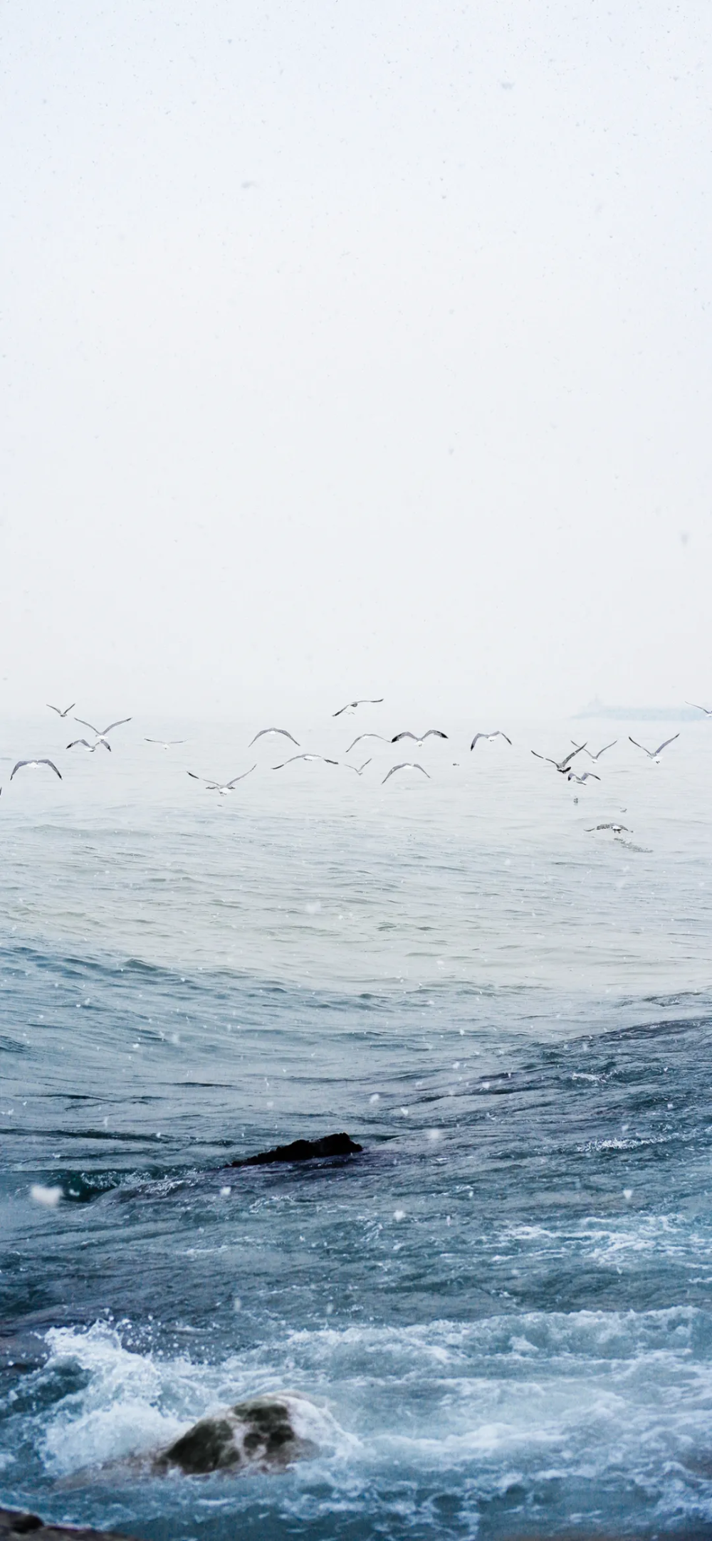 景