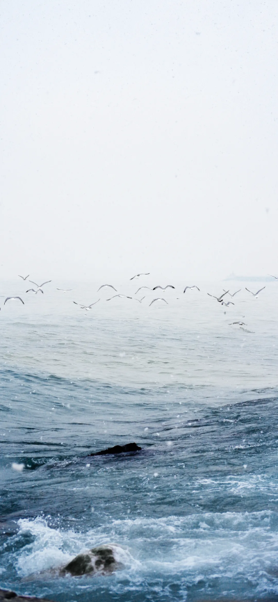 景