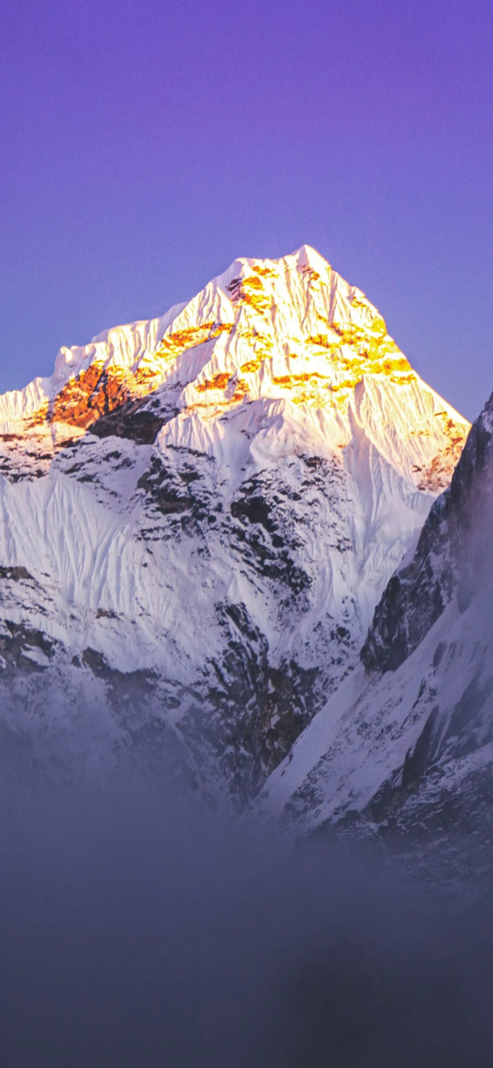 景